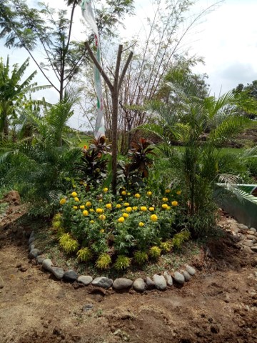 land 2