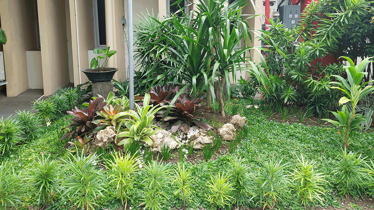 landscaping-3