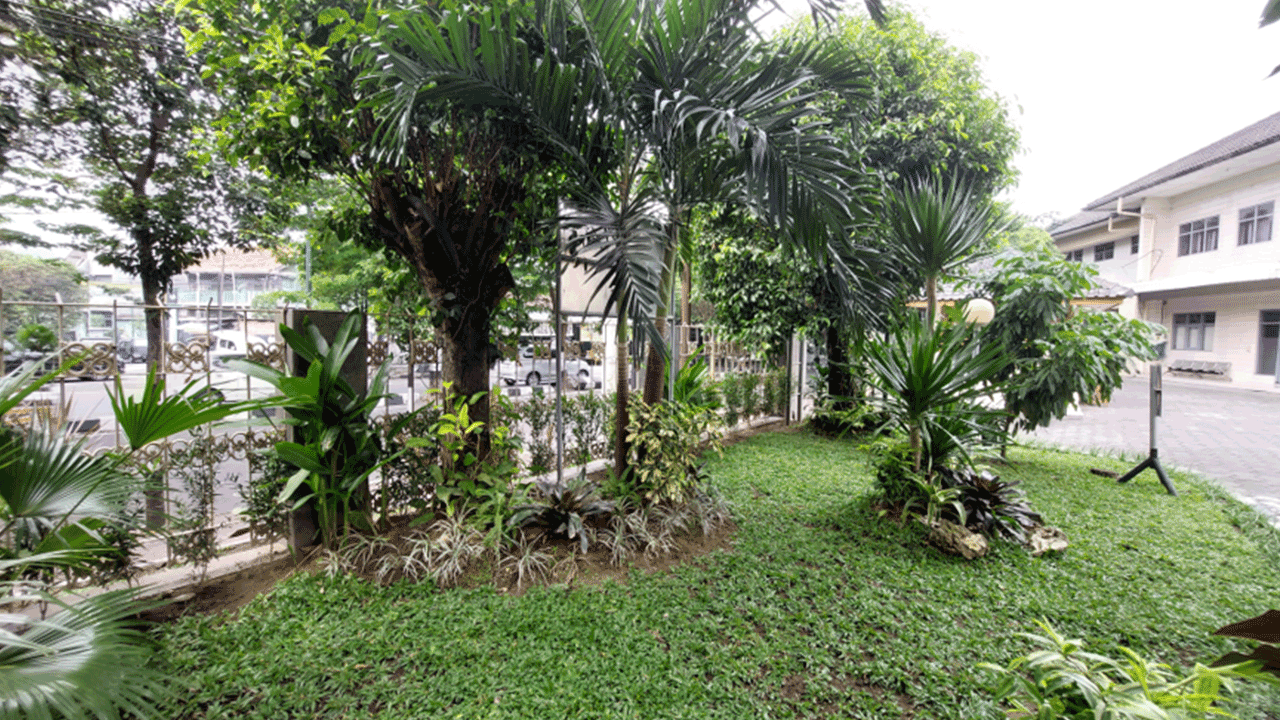 landscaping-new